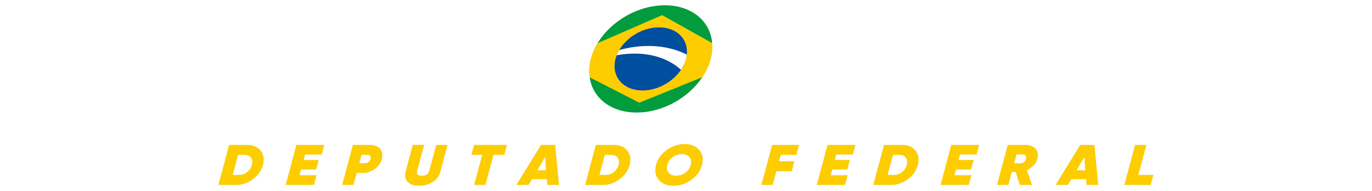 Ricardo Barros